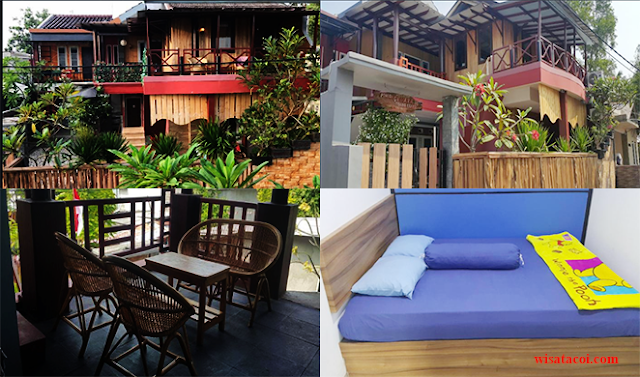 Penginapan Cemara 38 Cottage