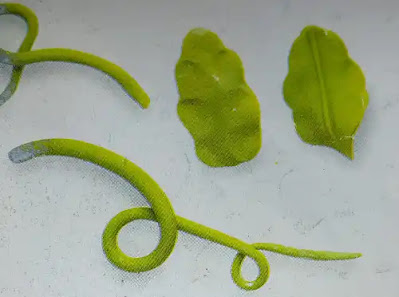 image of cake leaf