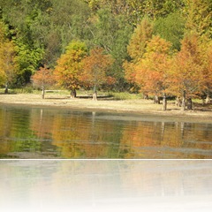 Oct 2010- Autumn Walk-Misc 081