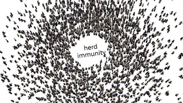 Herd Immunity