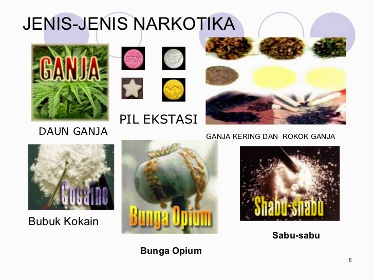 Bahaya Narkoba dan Rokok