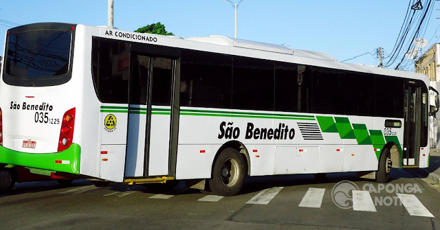 Ônibus da empresa da São Benedito Autovia Ltda. (Foto: Google/ Reprodução)
