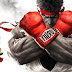 Street Fighter 5 PC Download