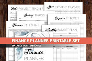 Finance planner printable, budget planner printable, financial planner printable, pdf template, editable planner printable, debt tracker pdf