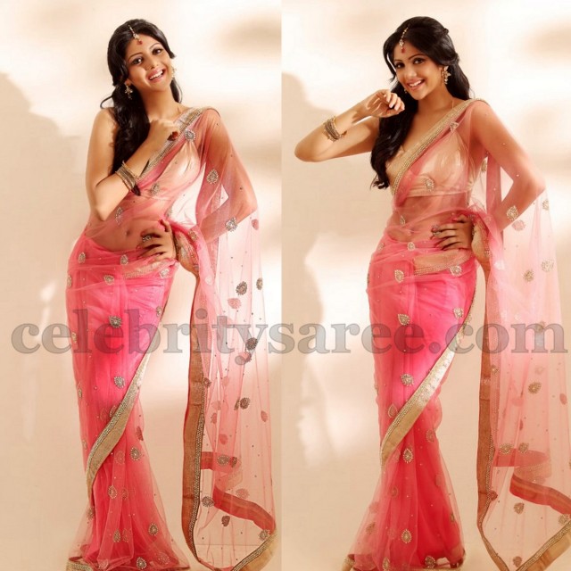 Milana in Transparent Saree