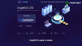 CryptICO LTD обзор и отзывы HYIP-проекта