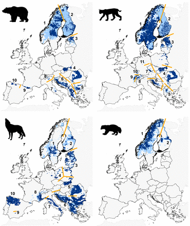  Chapron et al, 2014