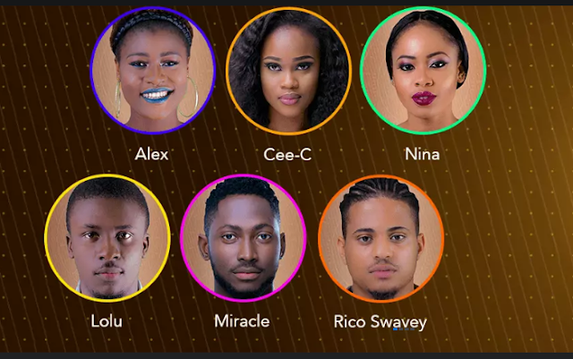 Image result for BBNaija: Miracle, Nina, Cee C, others nominated for eviction