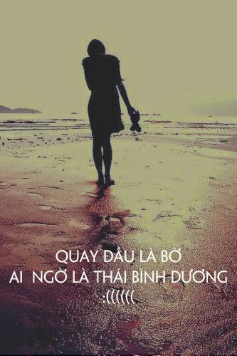 sua may tinh gia re 