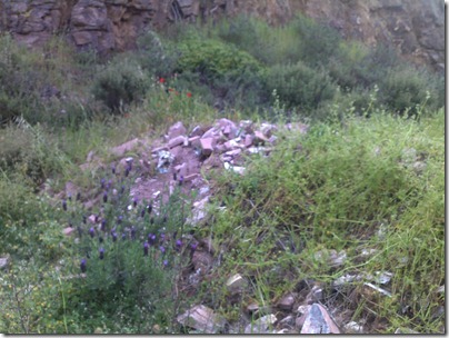 building rubble in woods