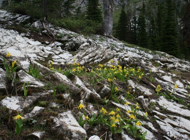 Crypt Lake, Parque Nacional Waterton