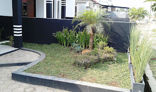 Minimalist Home Mini Garden