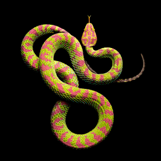 ular keren