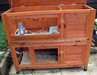 Guinea pig hutch