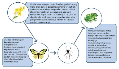 [www.pydamoti.blogspot.com] Keseimbangan Ekosistem