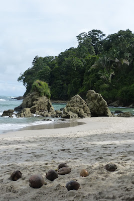 Coco-pétanque à Manuel Antonio