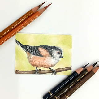 Long tailed tit ATC drawn in coloured pencils