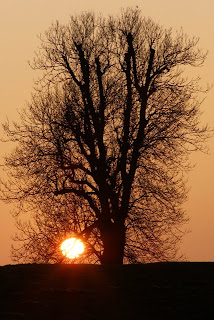 Sunset In United Kingdom