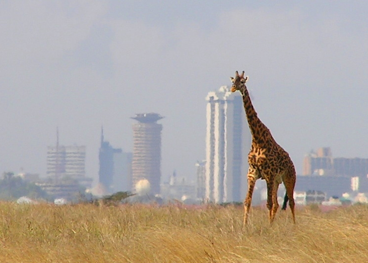 Nairobi National Park