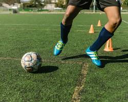 Image of agility training session