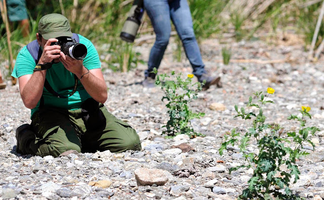 FOTO NATURA 2015: un sendero maravilloso 