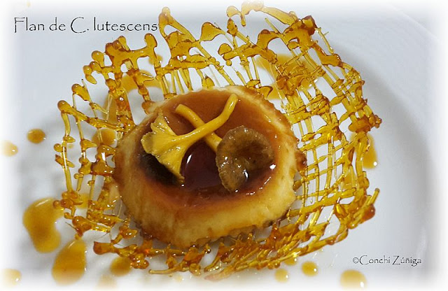 https://cocinandosetas.blogspot.com.es/2015/12/flan-con-c-lutescens.html