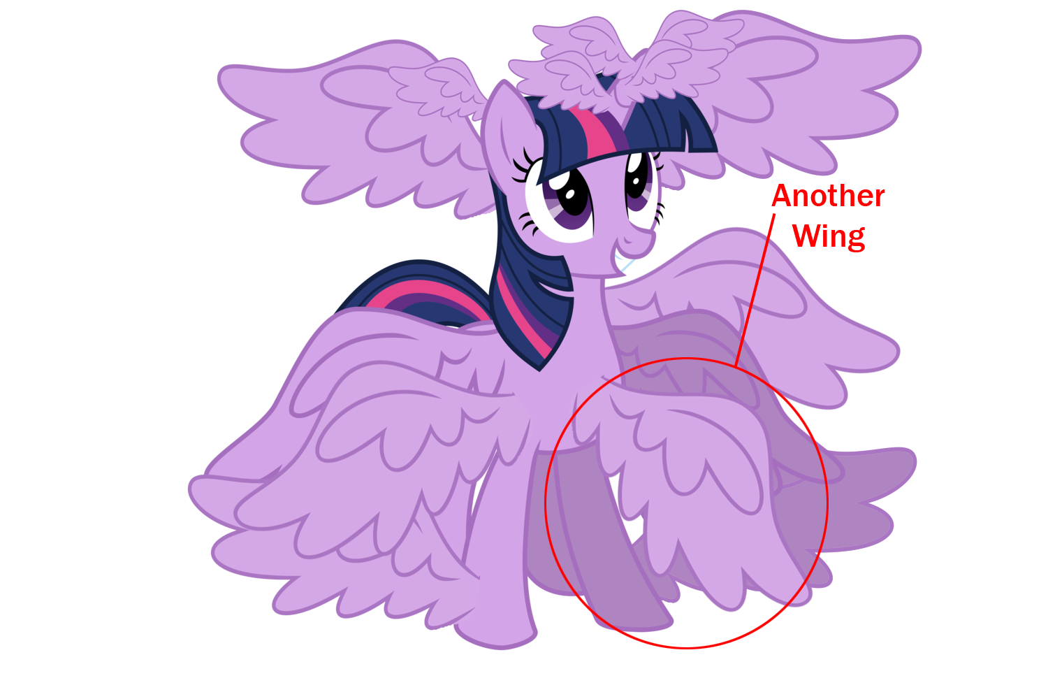Equestria Daily - MLP Stuff!: Hasbro Adds ANOTHER Wing to Twilight Sparkle