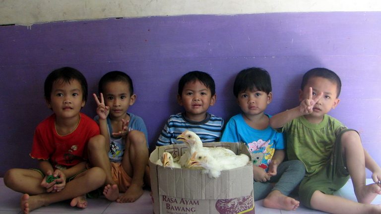 KINGDOM CHILDREN HOME ANAK  PUSAKA INDONESIA