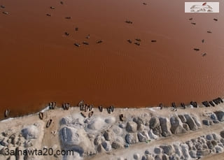 بحيرة ريتبا في السنغال The Lake Retba