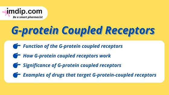 G-protein Coupled Receptors- Function, Work, Significance | imdip