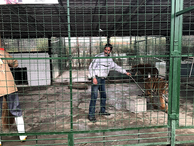 イラン・マシュハドにあるマシュハド動物園（Vakil Abad Zoo）