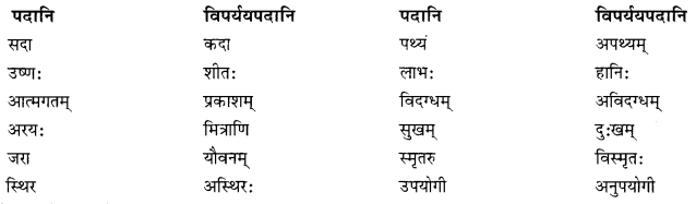 NCERT Solutions for Class 10 Sanskrit Shemushi Chapter 3 व्यायामः सर्वदा पथ्यः