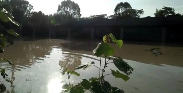 Tembok Penangkaran Buaya di Batu Bara Sumut Jebol Diterjang Banjir, Warga Resah dan Takut