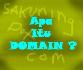 Apa Itu DOMAIN? (domain adalah)