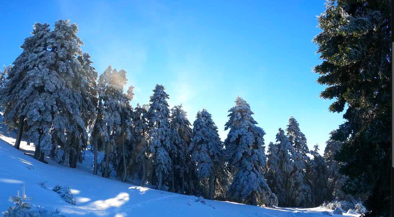 Τα χιονισμένα χωριά της Εύβοιας μαγεύουν τους επισκέπτες με την απίστευτη ομορφιά τους, δημιουργώντας μια ατμόσφαιρα παραμυθένια