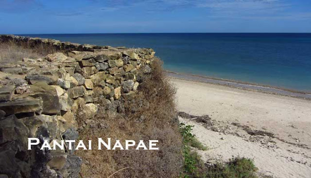 Pantai Napae Pantai Terindah Di Sabu Raijua, NTT  