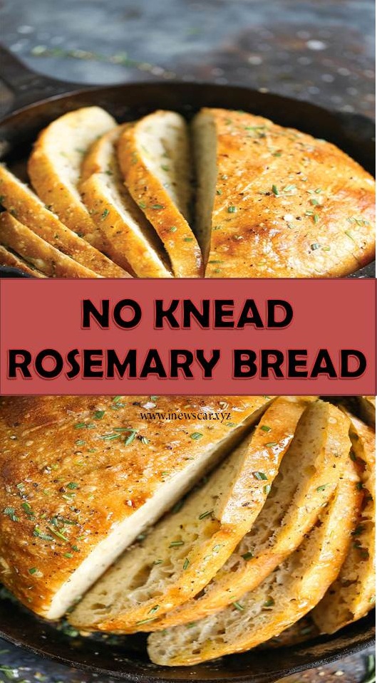 A basic, FOOLPROOF homemade bread recipe here! Anyone can make this! I PROMISE!!!! And the bread comes out just perfect!