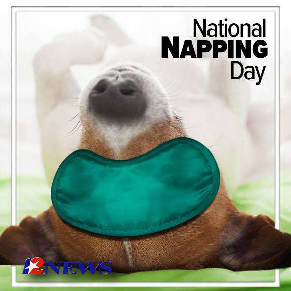 National Napping Day Wishes