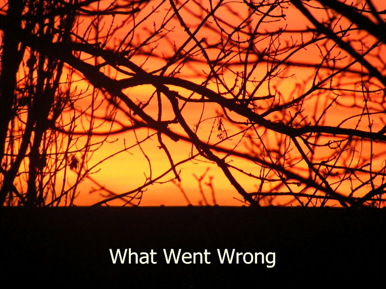 Front cover of What Went Wrong