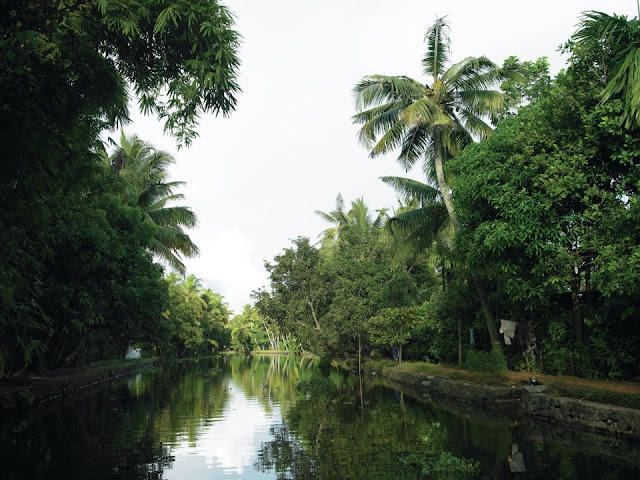 The tranquil backwaters of Kerala