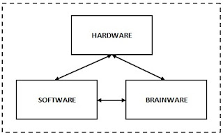 hardware software brainware