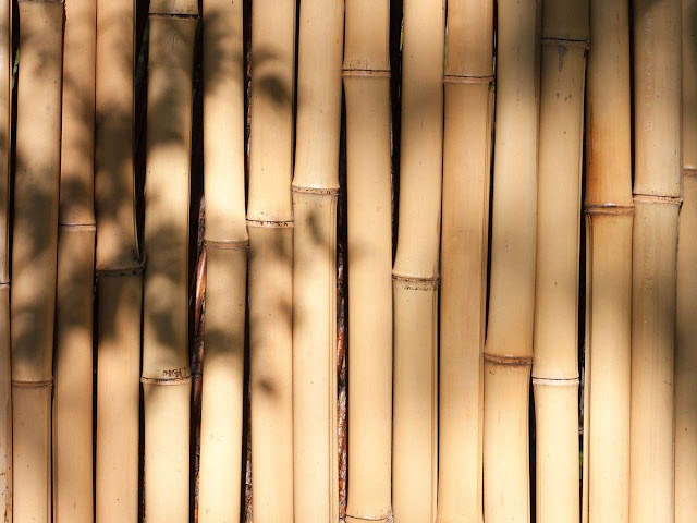 Kerjakan Sendiri Cara Membuat Pagar Bambu  Utuh  yang 