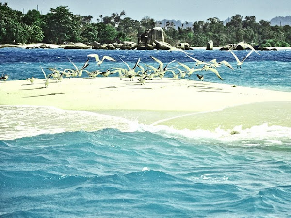 pulau pasir