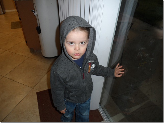 SAM_0498