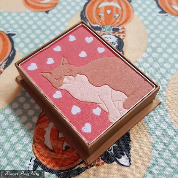 heart print and cat embossed powder makeup open box