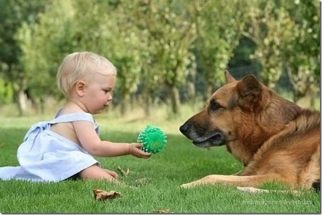 1 - niños con perros misimagenesdivertidas  (12)