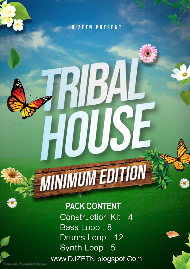 D ZETN - Tribal House V.1 (Minimum Edition)