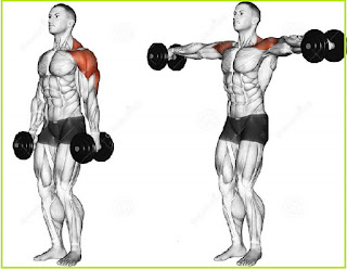 Dumbbell lateral raise