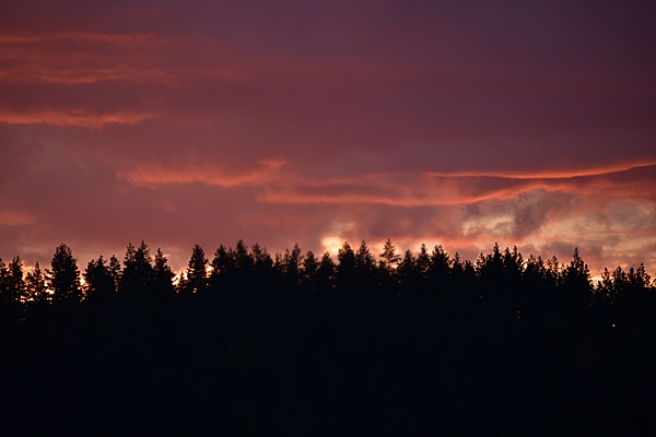 solnedgang