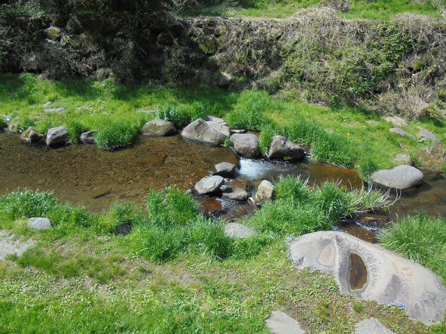 別所川渓流植物園